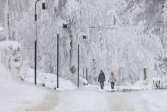Winter-im-Hochsauerland-043