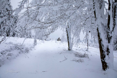 Winter-im-Hochsauerland-046