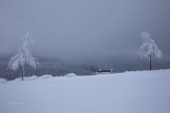 Winter-im-Hochsauerland-049