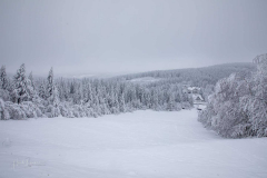 Winter-im-Hochsauerland-050