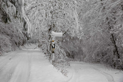 Winter-im-Hochsauerland-055