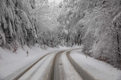 Winter-im-Hochsauerland-056