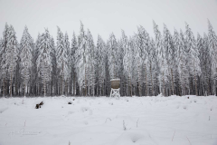 Winter-im-Hochsauerland-057
