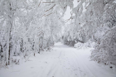 Winter-im-Hochsauerland-058