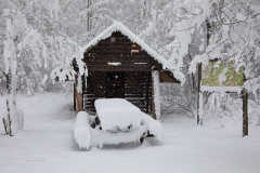 Winter-im-Hochsauerland-059