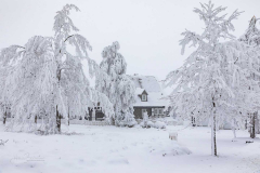 Winter-im-Hochsauerland-063