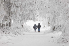 Winter-im-Hochsauerland-064