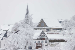 Winter-im-Hochsauerland-065