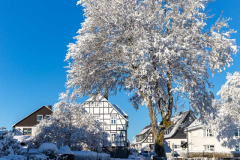 Winter-im-Hochsauerland-068