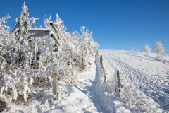 Winter-im-Hochsauerland-070