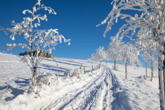 Winter-im-Hochsauerland-071