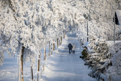 Winter-im-Hochsauerland-074