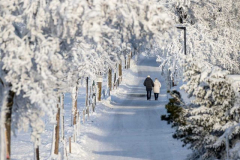 Winter-im-Hochsauerland-075