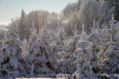 Winter-im-Hochsauerland-076