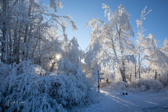 Winter-im-Hochsauerland-077