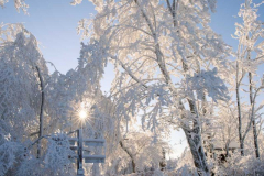 Winter-im-Hochsauerland-078