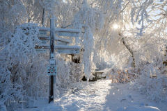 Winter-im-Hochsauerland-079