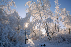 Winter-im-Hochsauerland-080