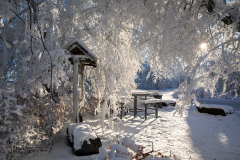 Winter-im-Hochsauerland-081