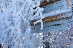 Winter-im-Hochsauerland-082