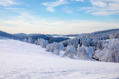 Winter-im-Hochsauerland-084