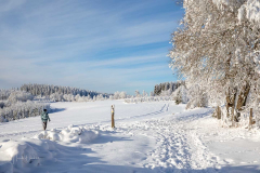 Winter-im-Hochsauerland-085