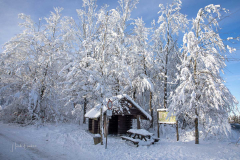 Winter-im-Hochsauerland-086