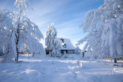 Winter-im-Hochsauerland-088
