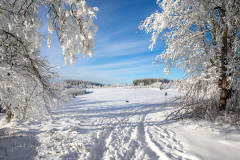 Winter-im-Hochsauerland-099
