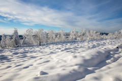Winter-im-Hochsauerland-100