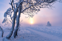 Winter_im_Hochsauerland_102