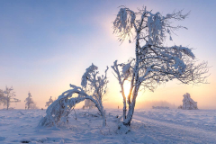 Winter_im_Hochsauerland_104