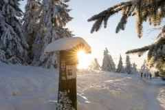 Winter_im_Hochsauerland_115