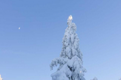 Winter_im_Hochsauerland_117
