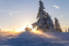 Winter_im_Hochsauerland_119