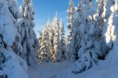 Winter_im_Hochsauerland_123