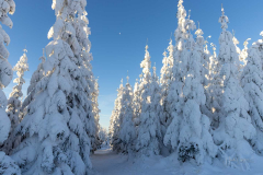 Winter_im_Hochsauerland_124