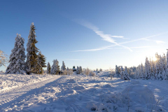 Winter_im_Hochsauerland_128