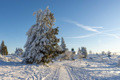 Winter_im_Hochsauerland_129