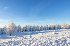 Winter_im_Hochsauerland_130