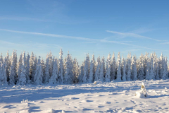 Winter_im_Hochsauerland_131