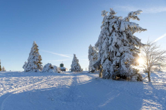 Winter_im_Hochsauerland_133