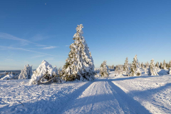 Winter_im_Hochsauerland_136