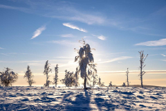 Winter_im_Hochsauerland_138