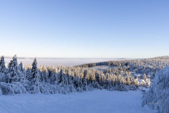 Winter_im_Hochsauerland_141