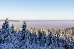 Winter_im_Hochsauerland_142
