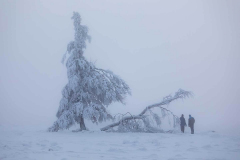 Winter_im_Hochsauerland_143
