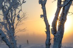 Winter_im_Hochsauerland_144