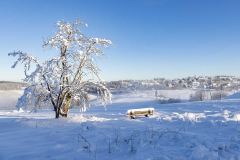 Winter_im_Hochsauerland_148