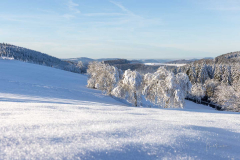 Winter_im_Hochsauerland_155